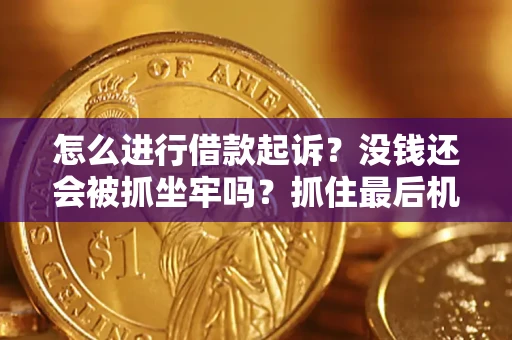 武汉怎么进行借款起诉？没钱还会被抓坐牢吗？抓住最后机会！