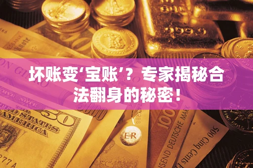 武汉坏账变‘宝账’？专家揭秘合法翻身的秘密！