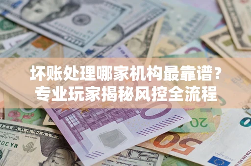 武汉坏账处理哪家机构最靠谱？专业玩家揭秘风控全流程
