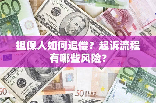 武汉担保人如何追偿？起诉流程有哪些风险？