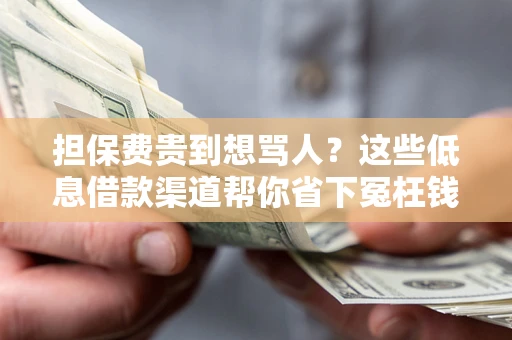 武汉担保费贵到想骂人？这些低息借款渠道帮你省下冤枉钱
