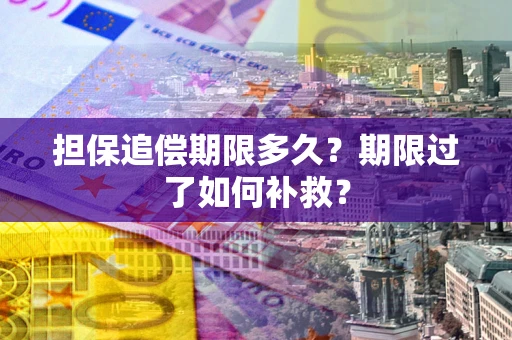 武汉担保追偿期限多久？期限过了如何补救？