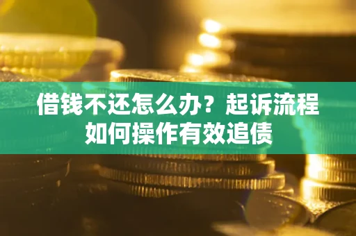 武汉借钱不还怎么办？起诉流程如何操作有效追债