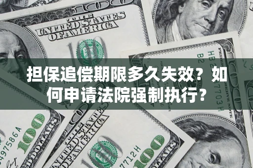 武汉担保追偿期限多久失效？如何申请法院强制执行？