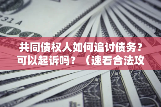 武汉共同债权人如何追讨债务？可以起诉吗？（速看合法攻略）