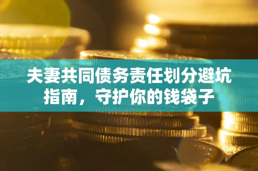 武汉夫妻共同债务责任划分避坑指南，守护你的钱袋子