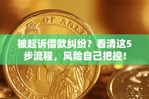 武汉被起诉借款纠纷？看清这5步流程，风险自己把控！